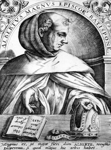 Albertus Magnus, illustration de 